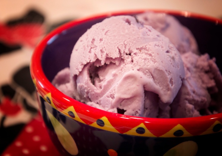 Homemade Blueberry Lavender Ice Cream